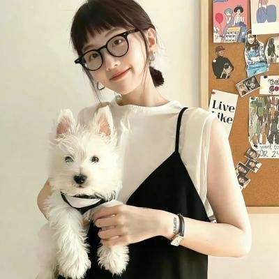 安乐传