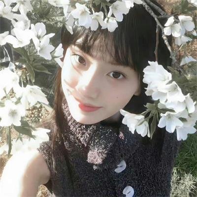亲密的搭档